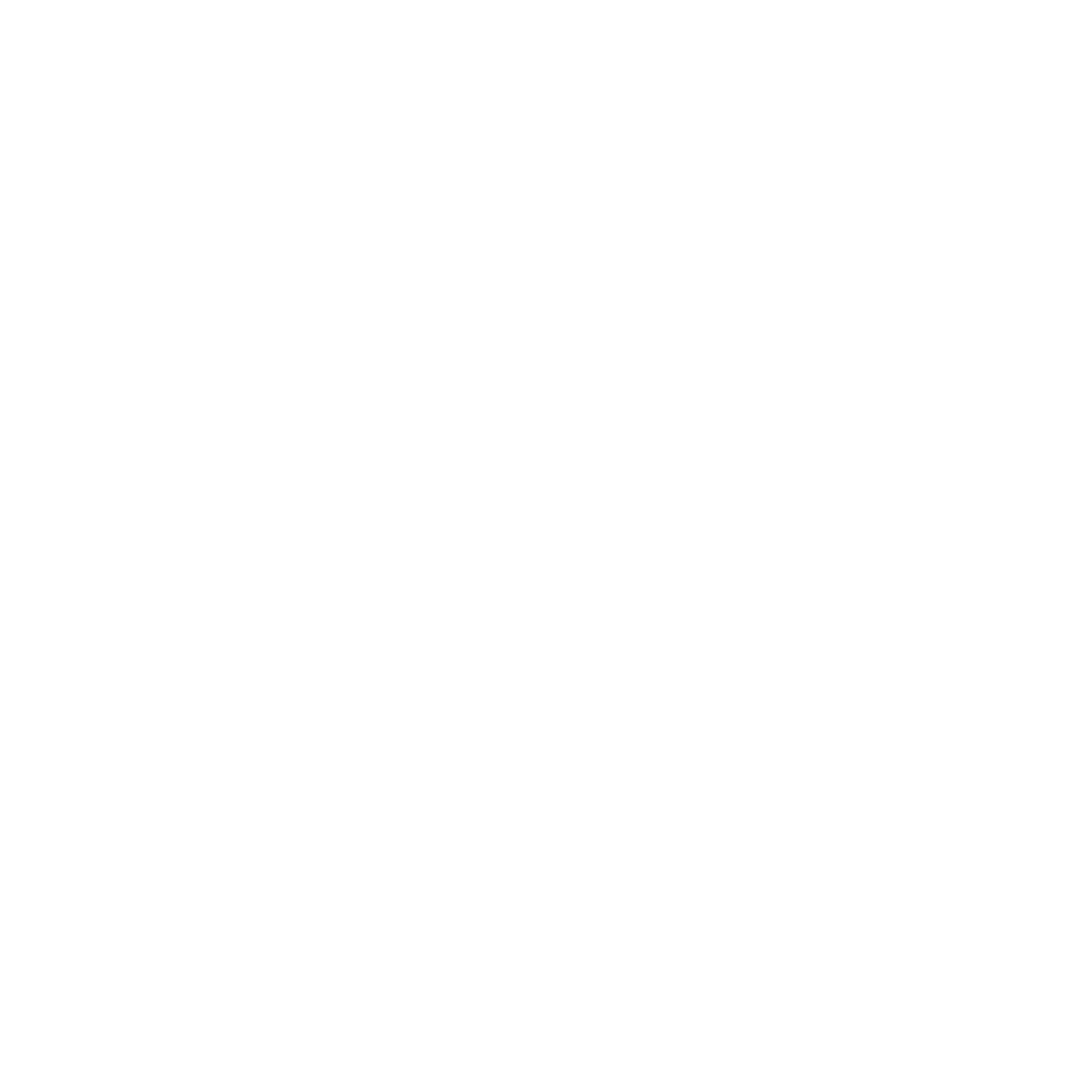 Vela Intelligence logo